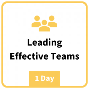Leading Effective Teams
